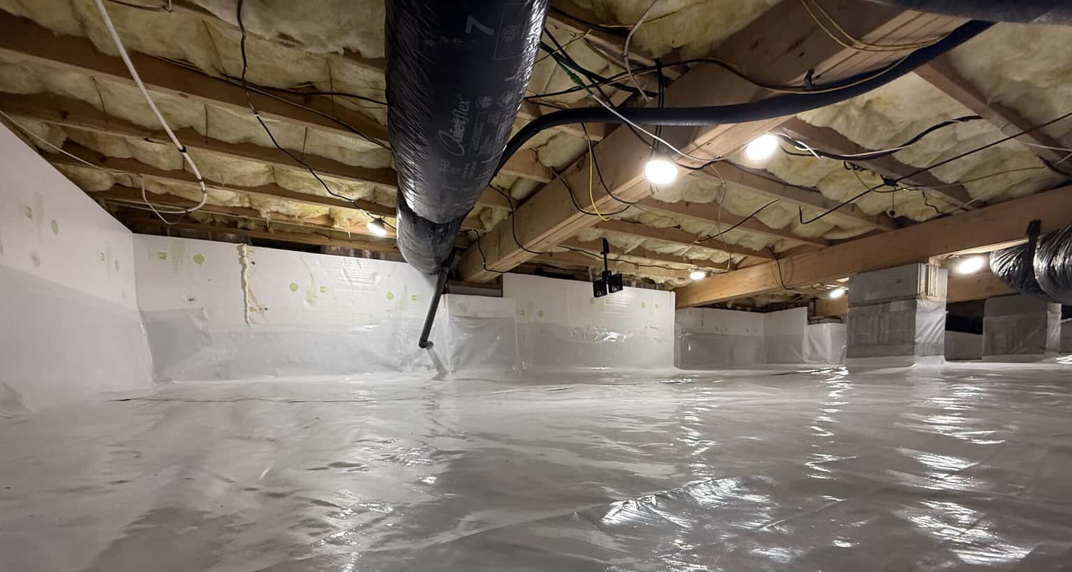 Pest Library Background