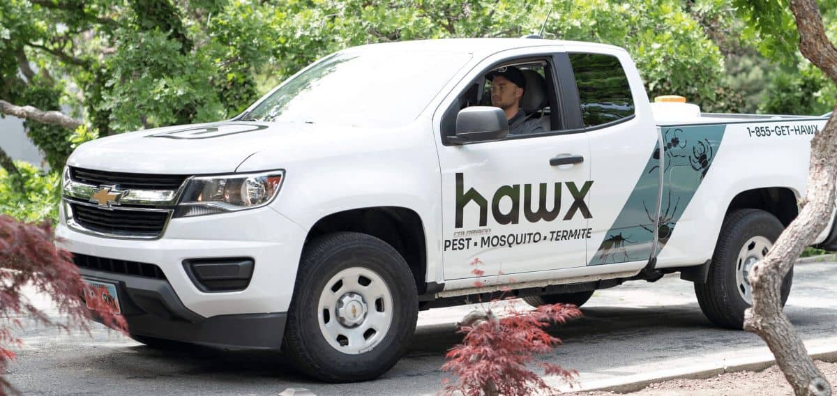 hawx-jeep