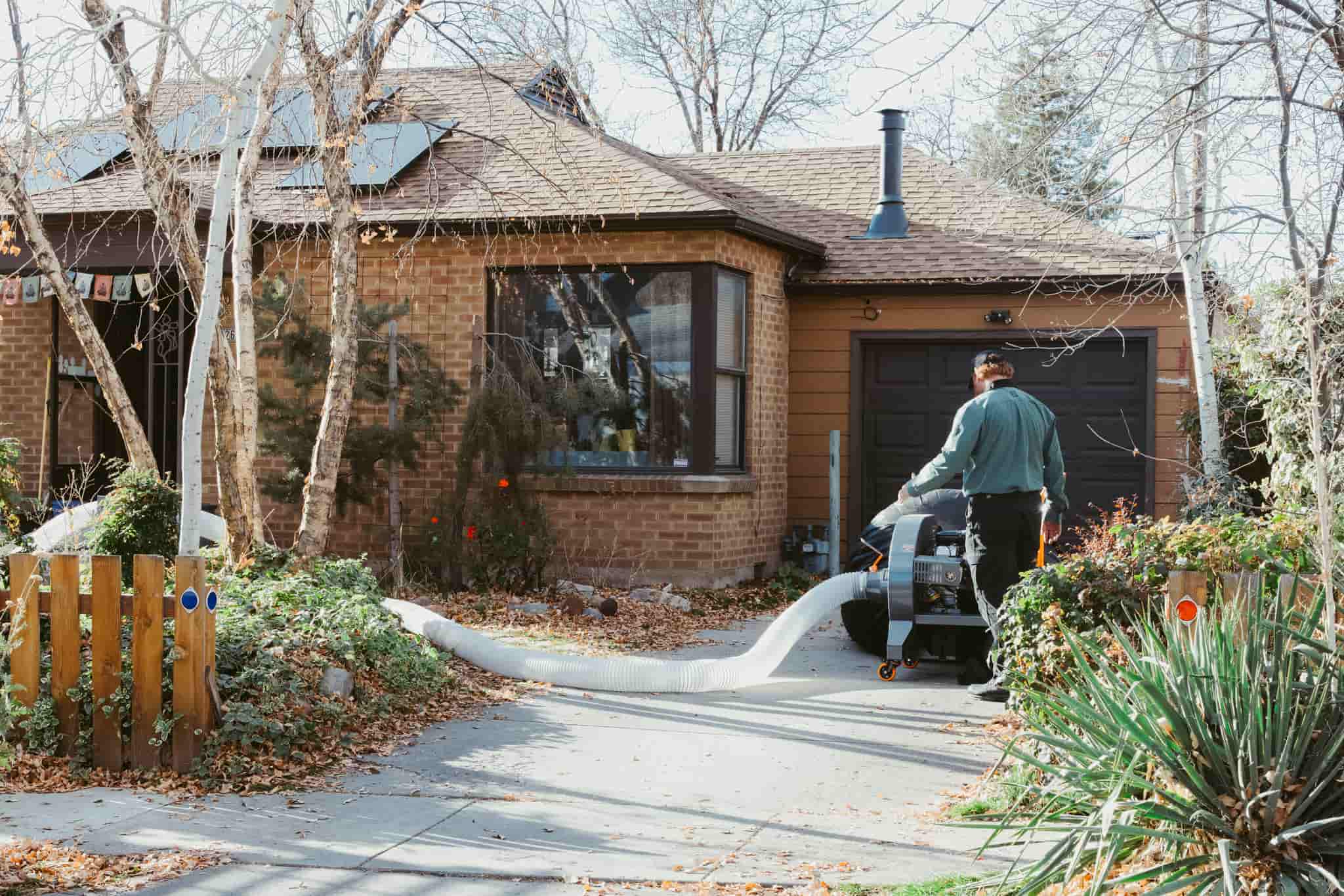 Pest Library Background