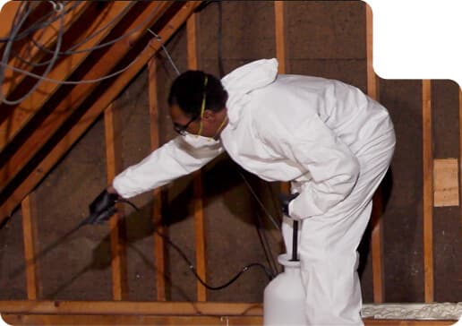 Prepare Your Attic