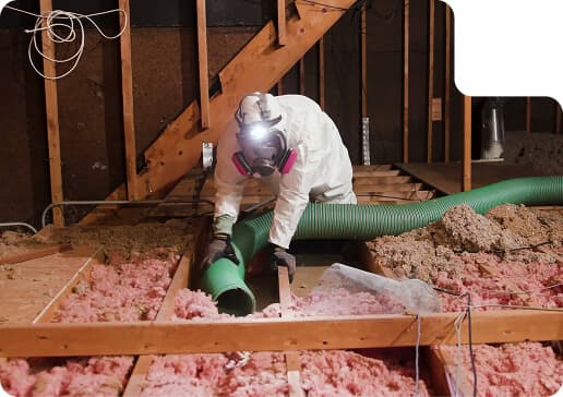 Remove Old or Damaged Insulation