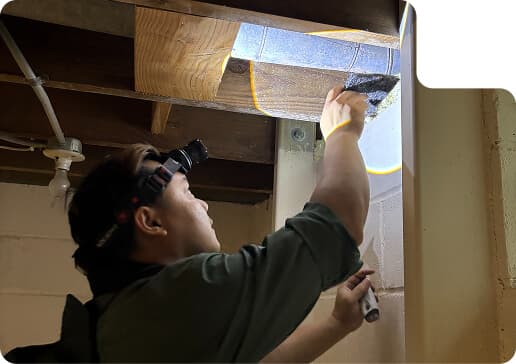 Schedule Your Free Attic Inspection