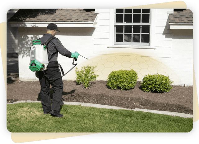 Foliage Barrier Treatment