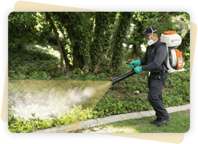 Larvicide & Population Control
