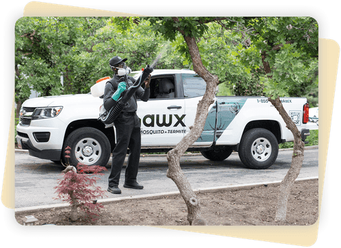 Inspection & Customized Plan