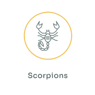 Scorpions