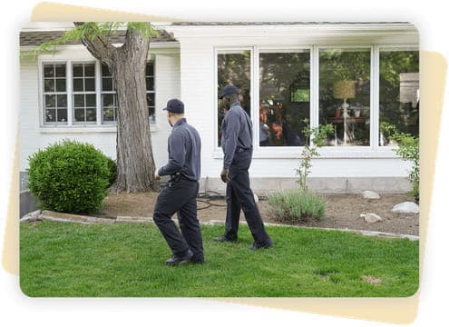 Comprehensive Inspection & Nest Mapping