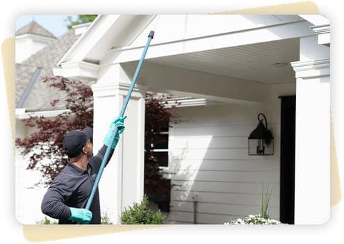 Safe Nest Removal & De-Webbing
