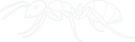 Ants