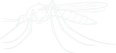 Mosquitoes