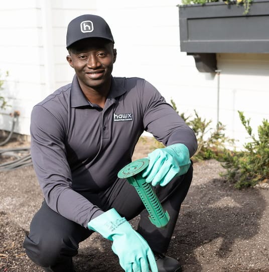 hawx technician
