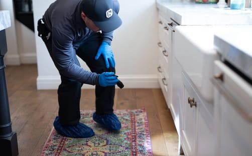 Hawx developer at work