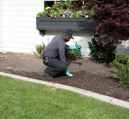 Hawx technician inspecting for termites