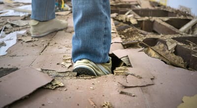 Structural wood damage