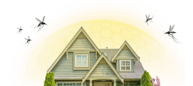 house shielded from pest illustration