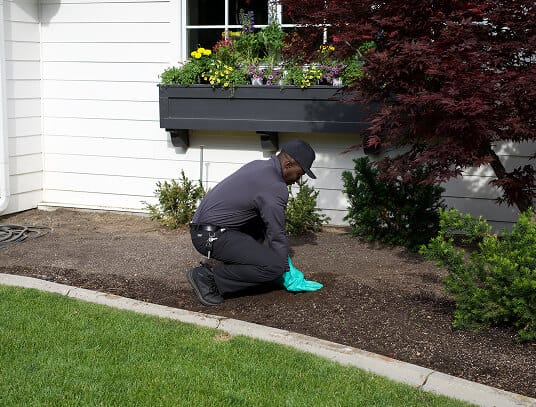 Hawx agent treating around house for spiders