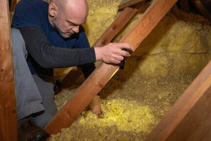 Pest control service in action
