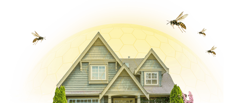 house shielded from pest illustration