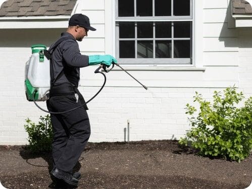 Pest control professional treating house exterior