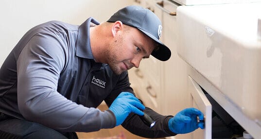 Pest control technician inspecting under a kitchen sink