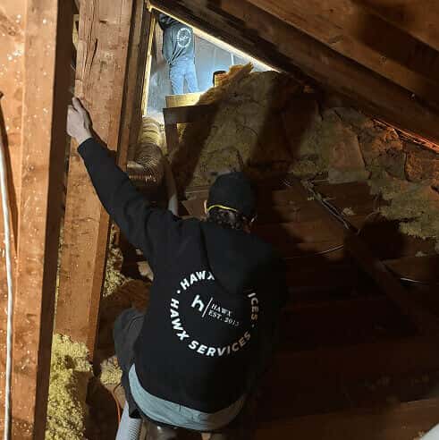 Rats nesting in attic wooden beams
