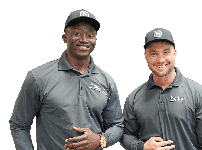 Hawx pest control technicians