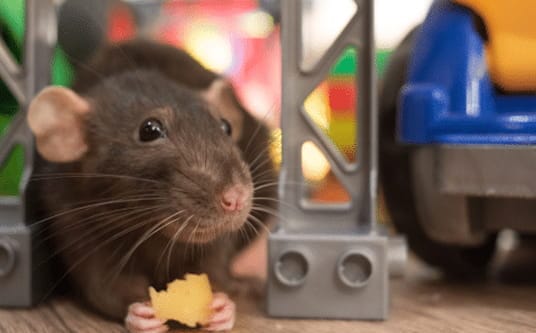 Large apartment building with multiple balconies