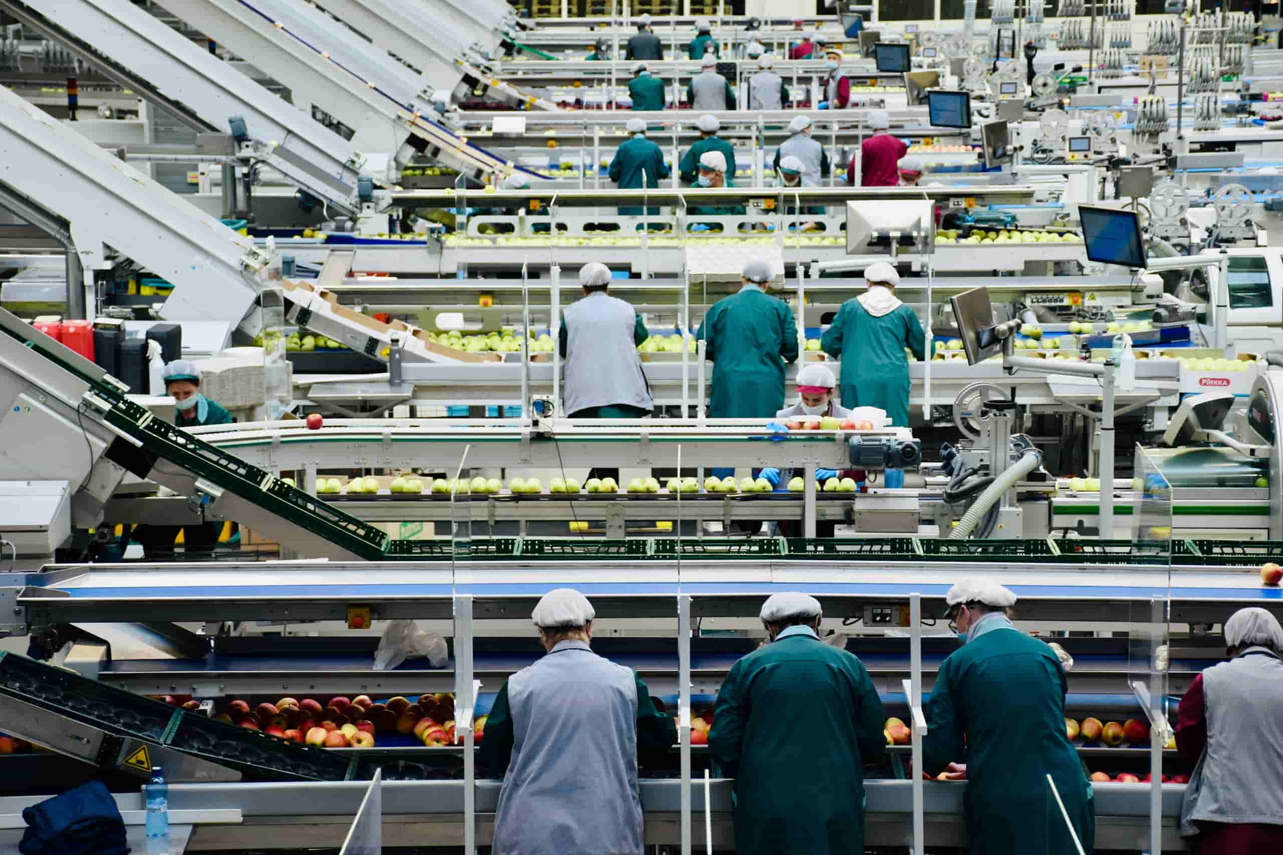 Workers in a food processing facility