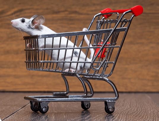 White mouse sitting in a shopping cart