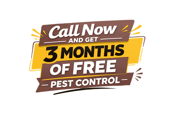Call Now and Get 3 Months of Free Pest Control
