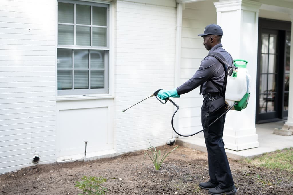Pest control technician