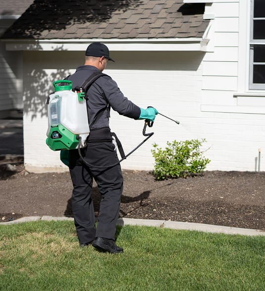 Pest Control Technician