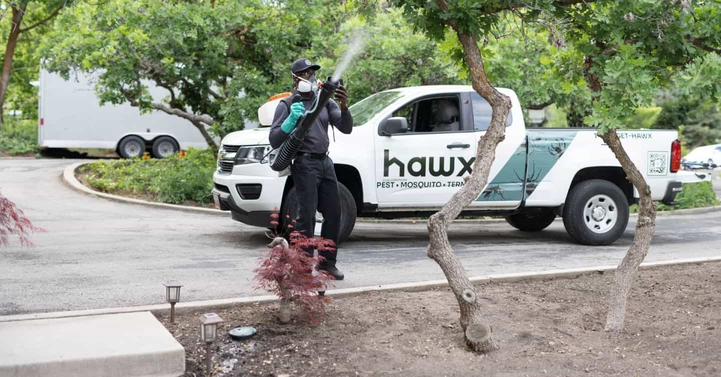 hawx-mosquito-yard-fogging