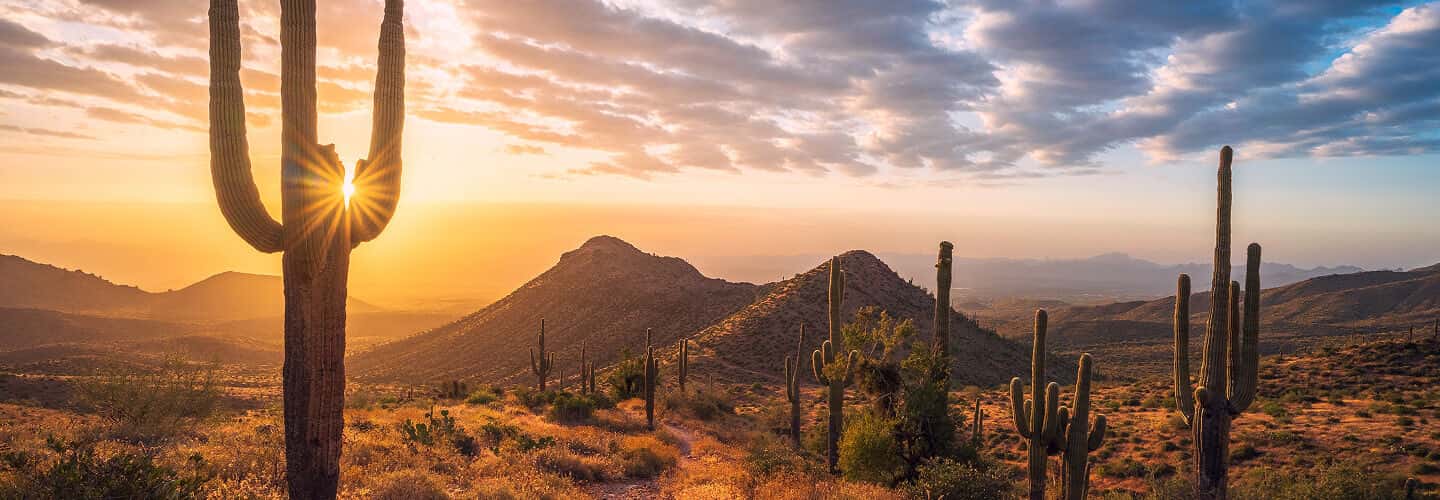 Arizona Pest Control Services