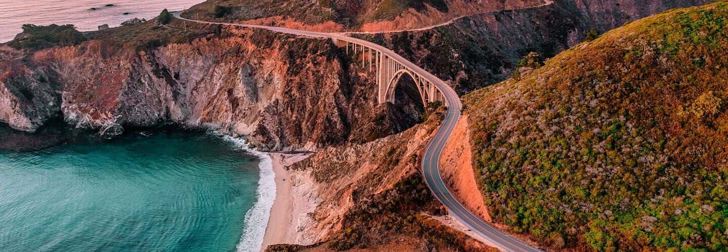 California Pest Control Services