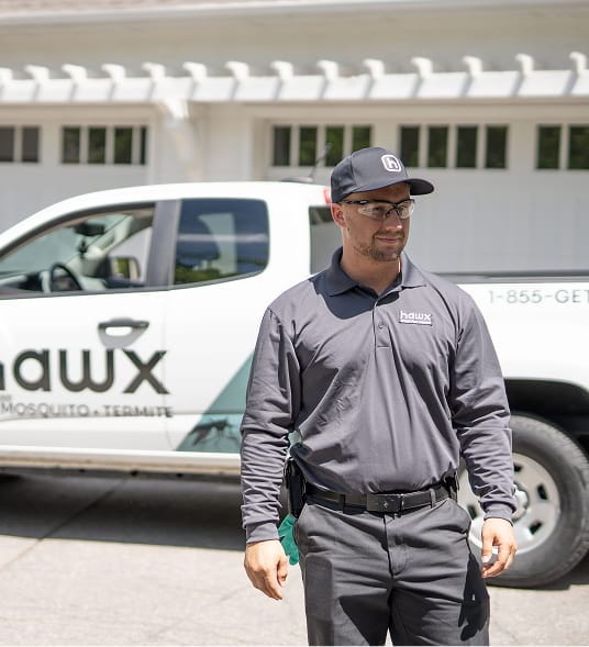 Hawx technician