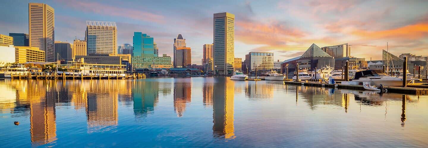 Maryland Pest Control Services