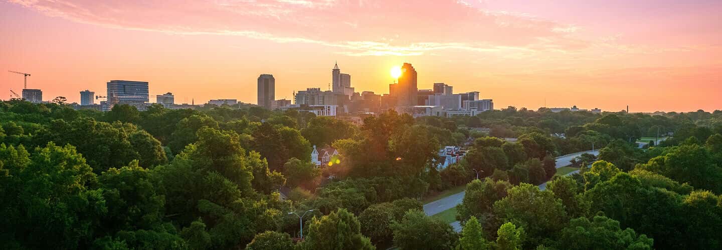 North Carolina Pest Control Services