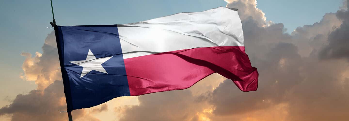 Texas Pest Control Services