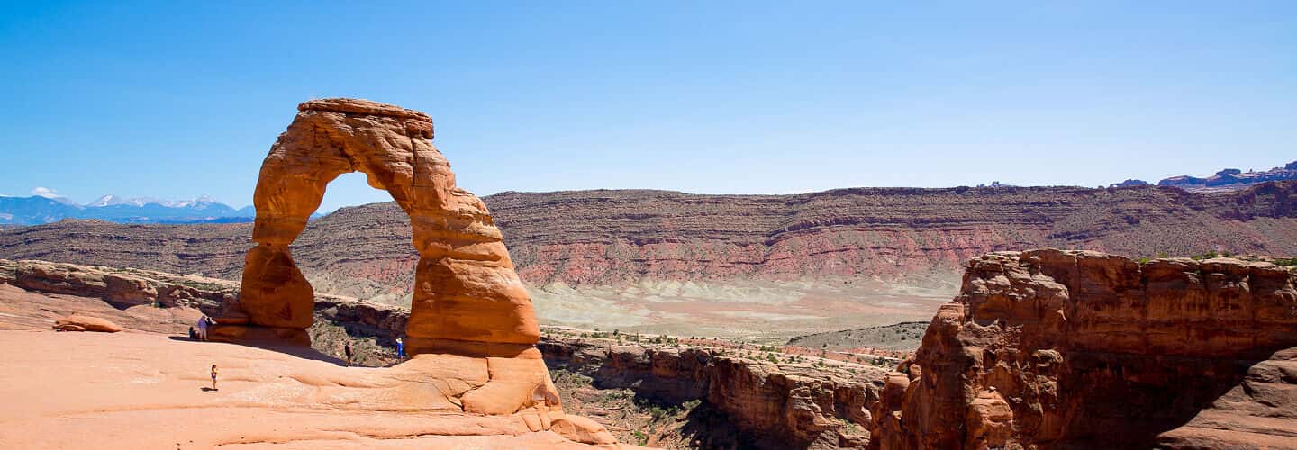 Utah Pest Control Services