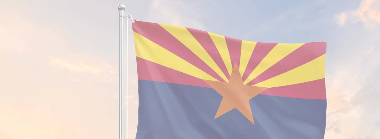 Spider Pest Control Services