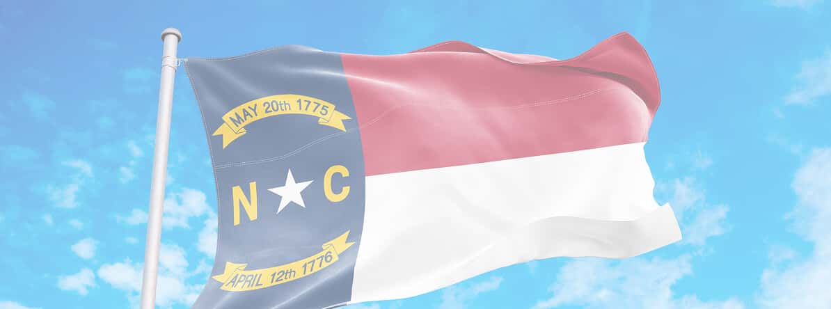 Spider Pest Control Services