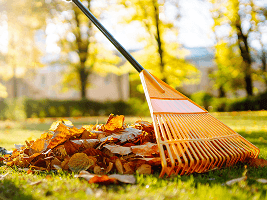 Remove Debris