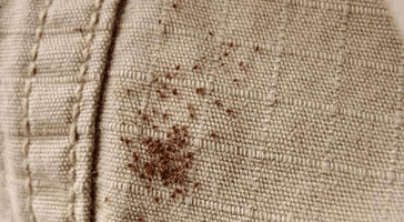 Seed Ticks