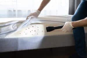 Man lifting mattress cover to reveal bed bugs on the mattress