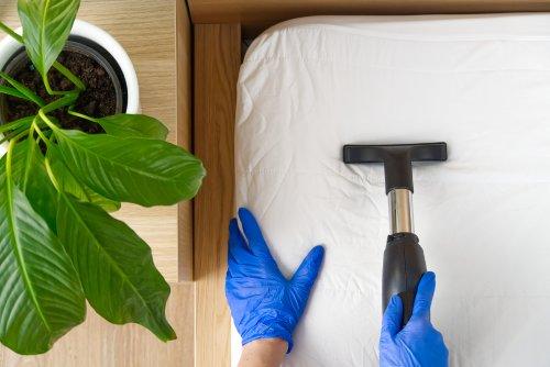person vacuums a mattress with blue gloves