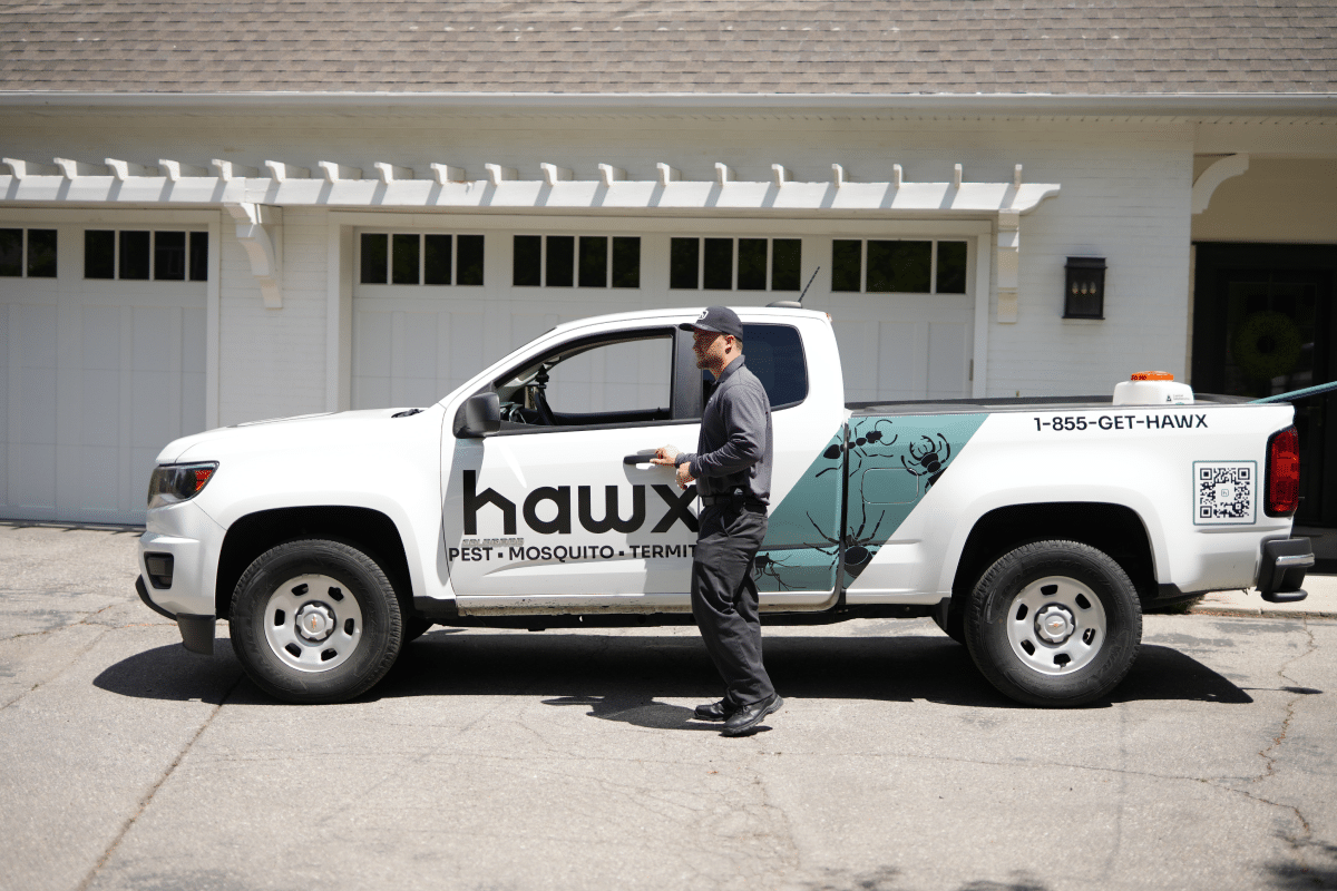 Hawx Pest Control Granite Bay CA | Granite Bay Pest Control